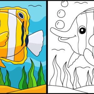 Find Color - Game